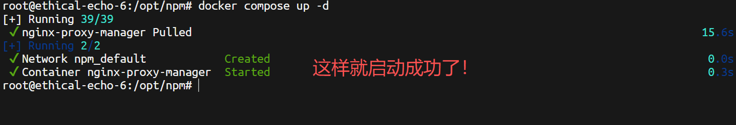 bwh-npm-3.png